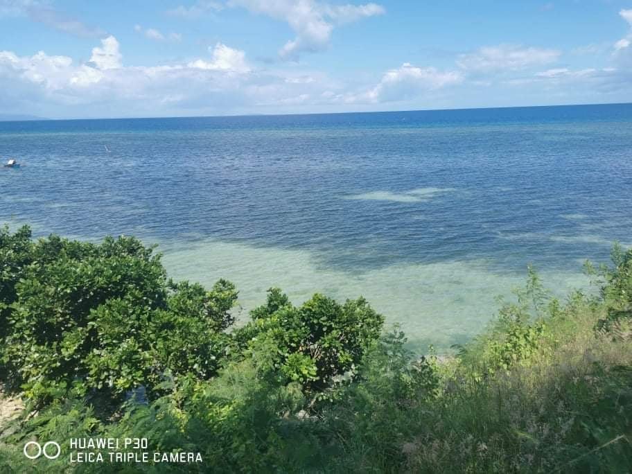 Very Nice Beach Cliff Land for Sale in Dalaguete Cebu