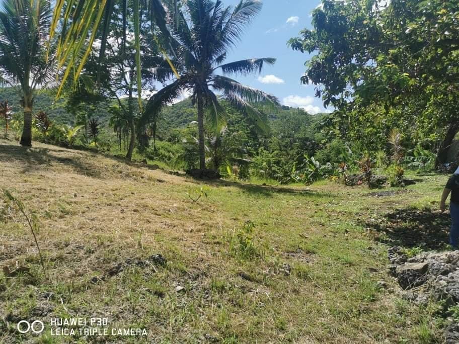 Very Nice Beach Cliff Land for Sale in Dalaguete Cebu