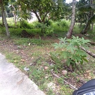 1 2 Hectares Land Properties For Sale In Dalaguete Cebu