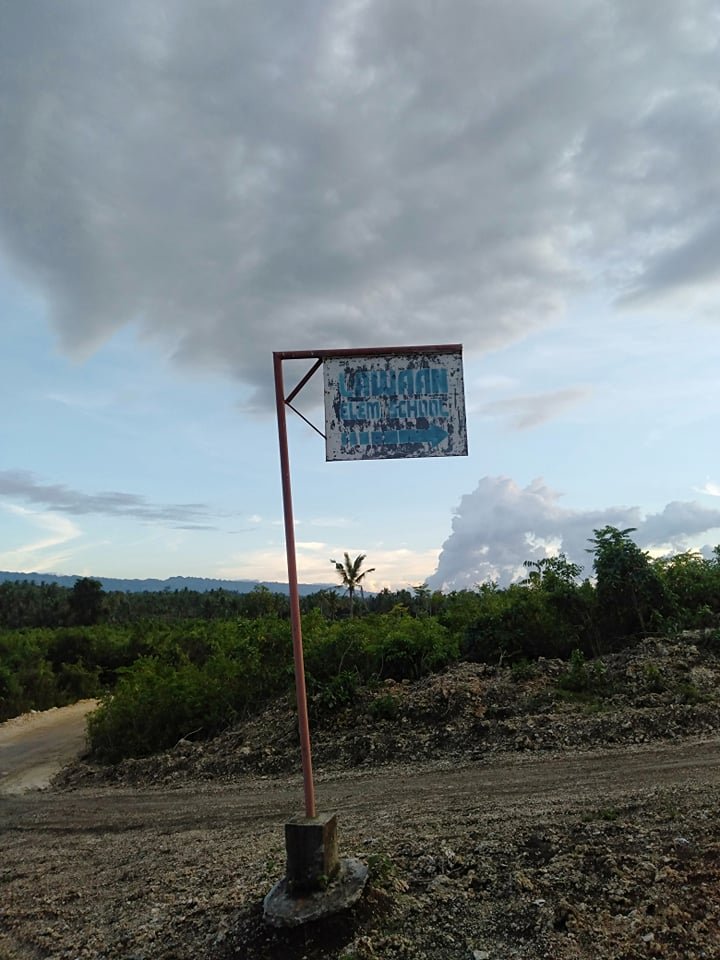 22 Hectares Properties For Sale In Lawaan Dumanjug Cebu