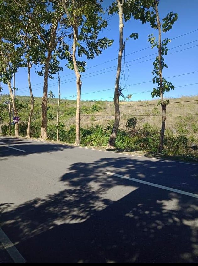 7.6 Hectares Properties for Sale in Hiway Ronda Cebu