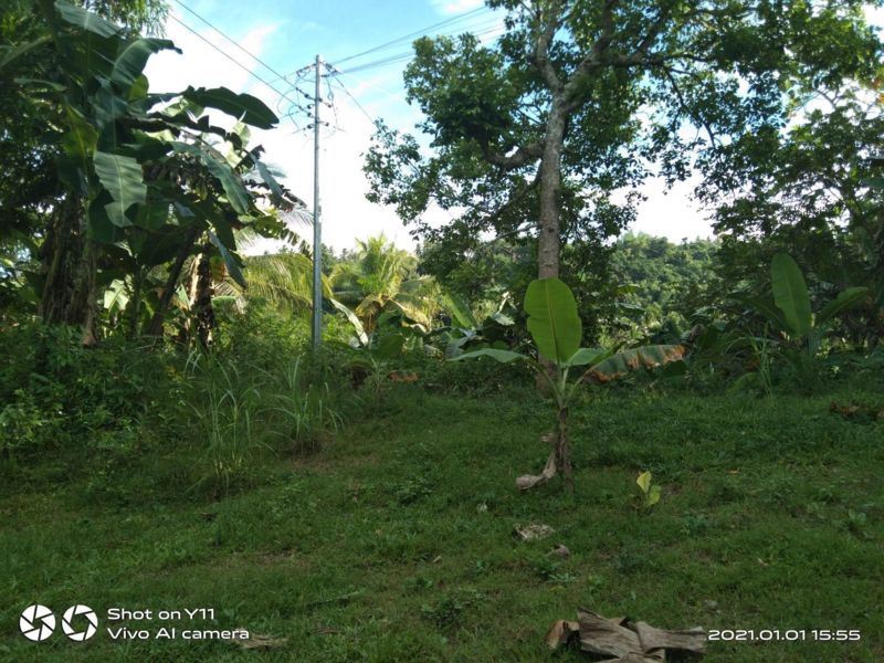land properties for sale in sibonga cebu - 03