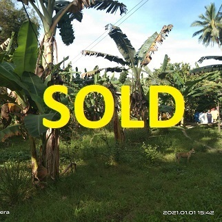land properties for sale in sibonga cebu philippines