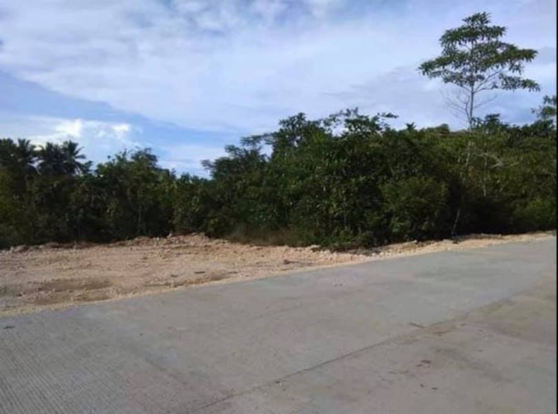 1.2 Hectares Land for Sale in Sta Lucia Asturias Cebu